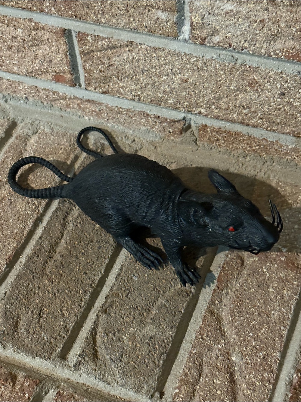 Halloween red eye rat prop scary decor
life size